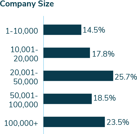 compnay size